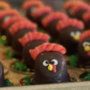 alive turkey